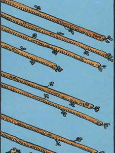 Tarot karta Osmica palice