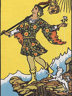 Tarot karta Norec