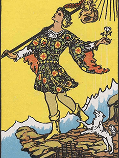 Tarot karta Norec