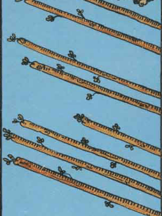 Tarot karta Osmica palice — obrnjeno